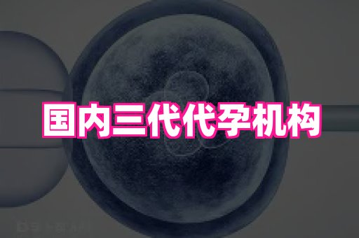 69助孕网 1